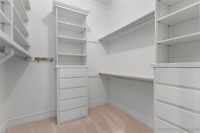 walk in closet with light colored carpet