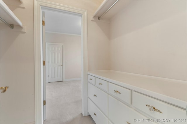 walk in closet featuring light carpet