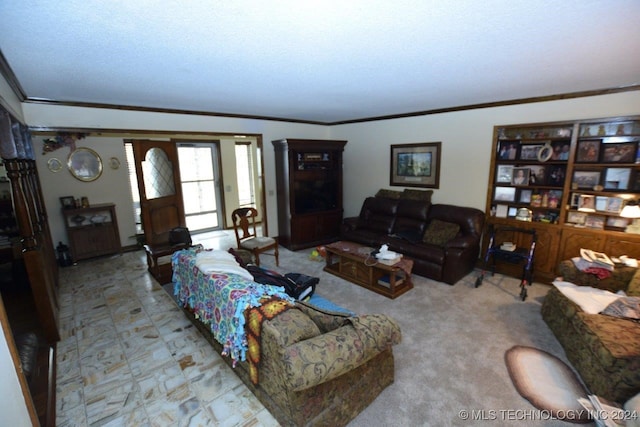 living room featuring a textured ceiling and ornamental molding