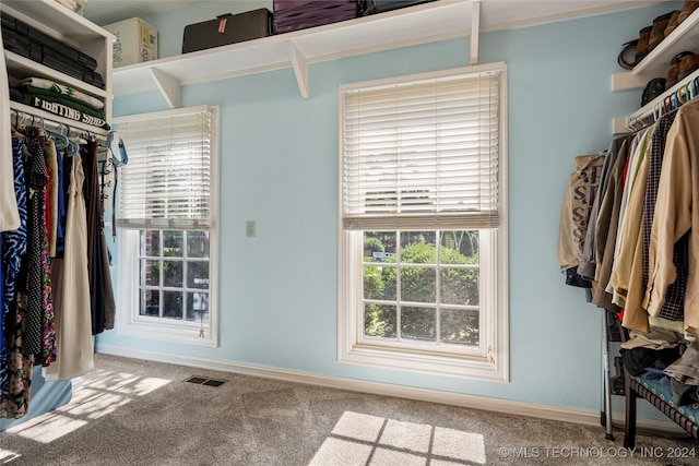 spacious closet with carpet