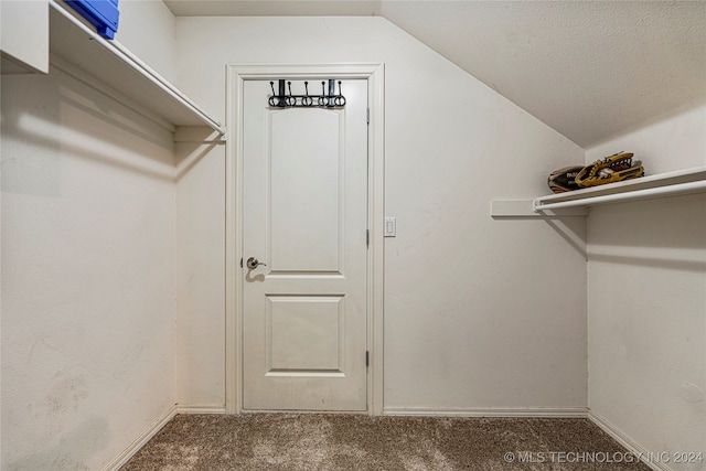 walk in closet with lofted ceiling and carpet flooring