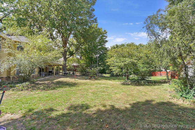 view of yard featuring a patio area