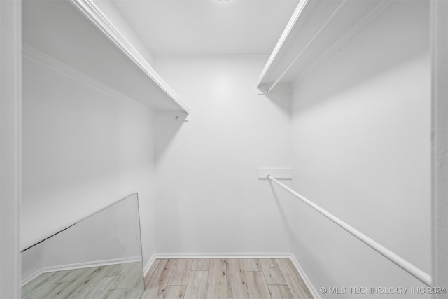 spacious closet featuring light wood-type flooring