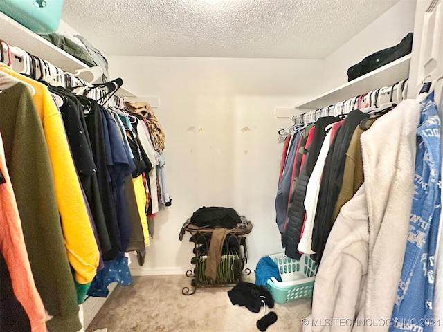 walk in closet featuring carpet floors