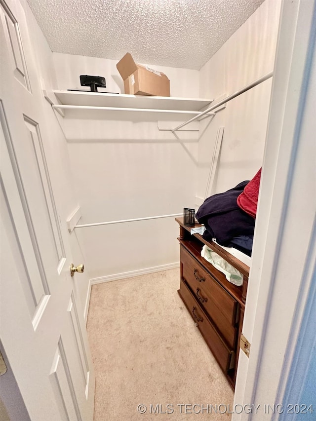 spacious closet featuring light carpet