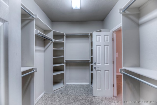 walk in closet with carpet flooring