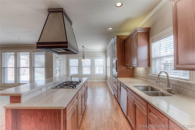 kitchen featuring custom exhaust hood, stainless steel appliances, crown molding, and a sink