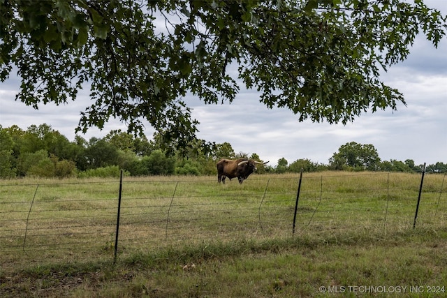 view of yard with fence and a rural view