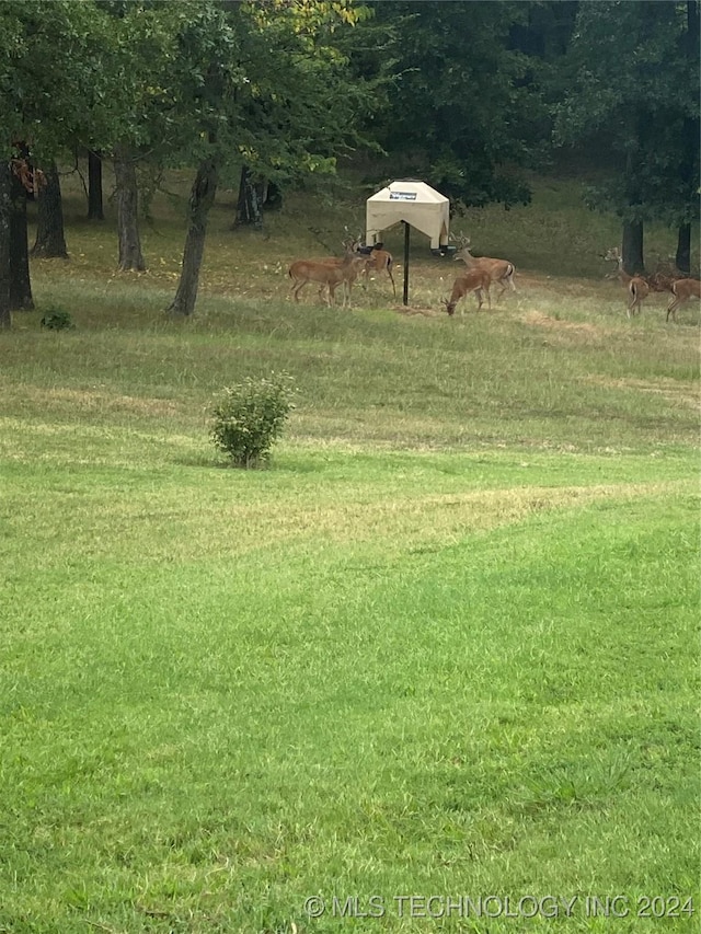 view of yard with a rural view