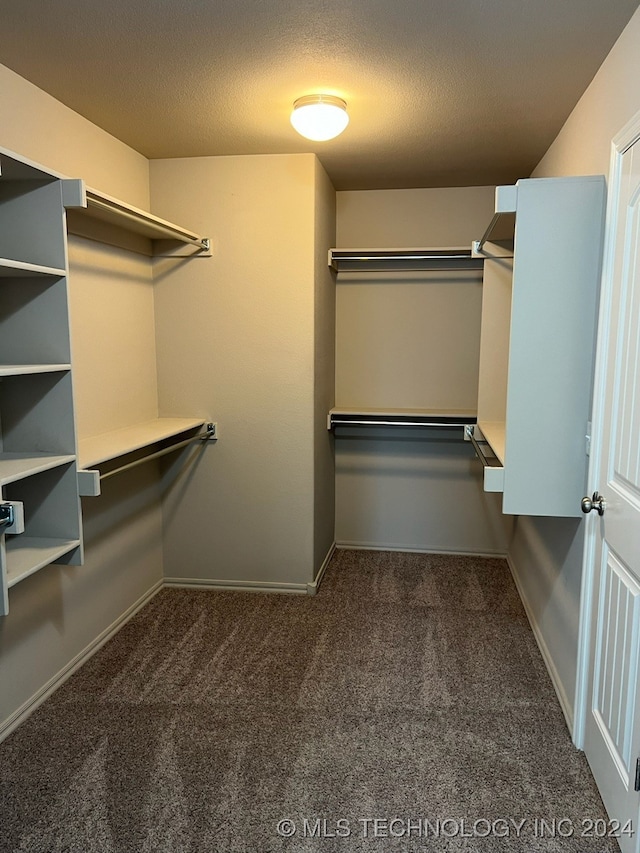 spacious closet featuring carpet