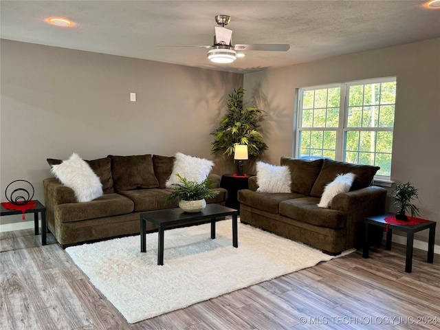 living room featuring ceiling fan and light hardwood / wood-style floors