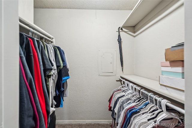 walk in closet with carpet flooring and electric panel