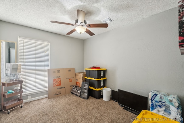 misc room featuring a textured ceiling, a healthy amount of sunlight, ceiling fan, and carpet