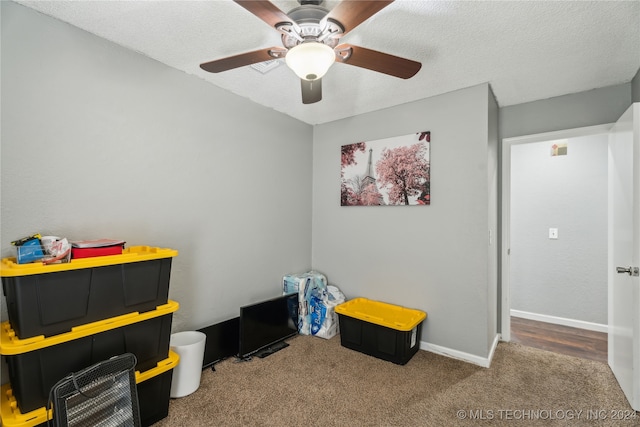 storage room with ceiling fan