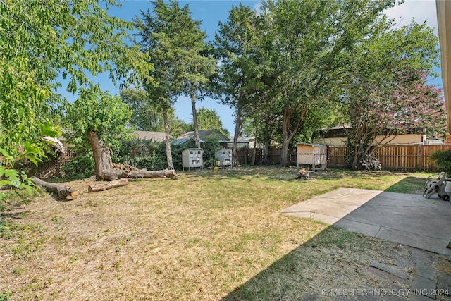 view of yard with a storage unit and a patio