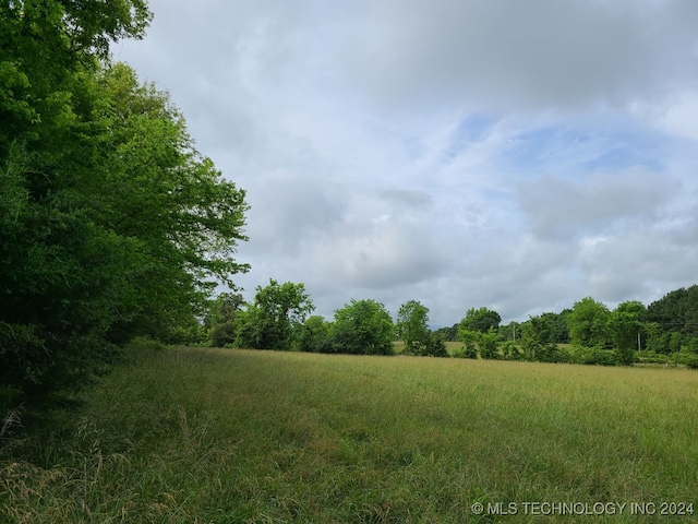 view of local wilderness