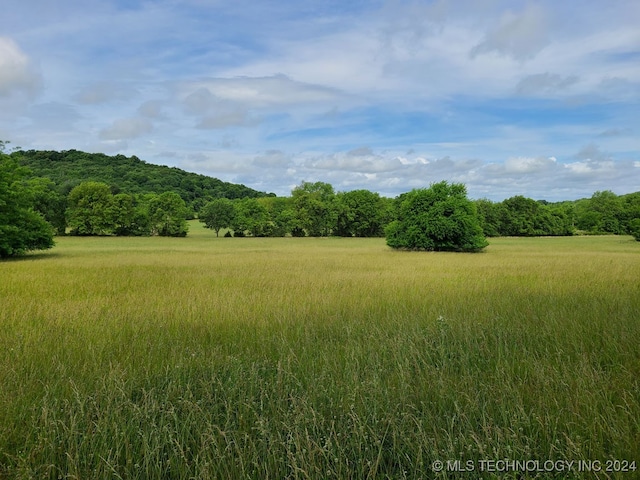 view of local wilderness with a rural view