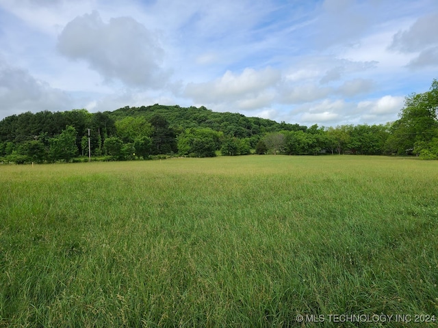 view of local wilderness