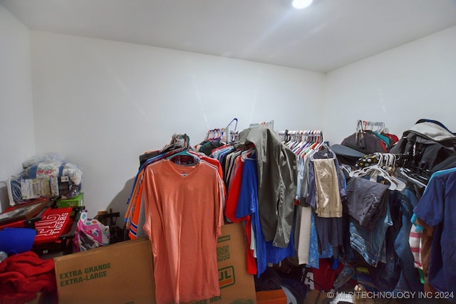 view of spacious closet