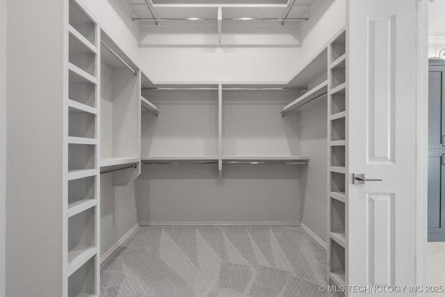 spacious closet featuring carpet