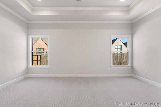 unfurnished room with ornamental molding, carpet, and a raised ceiling