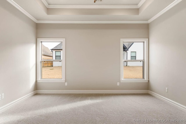 spare room featuring carpet flooring, a raised ceiling, and ornamental molding