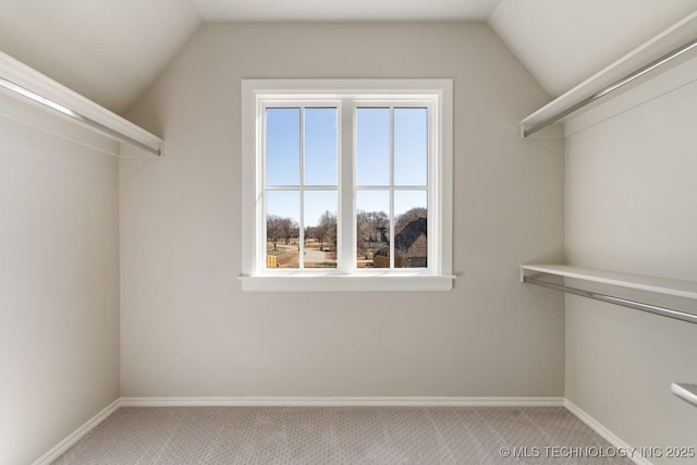 spacious closet with lofted ceiling and carpet