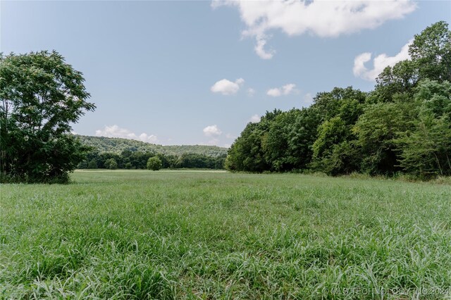 4100 N 430th Rd, Locust Grove, OK 74352 - view of yard with a rural view and a forest view