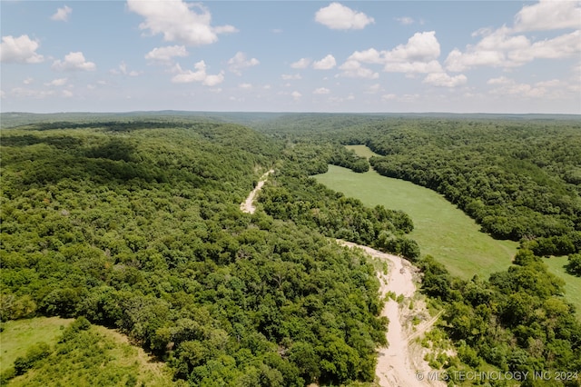 bird's eye view