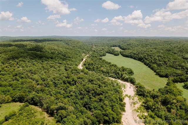 4100 N 430th Rd, Locust Grove, OK 74352 - drone / aerial view of a forest