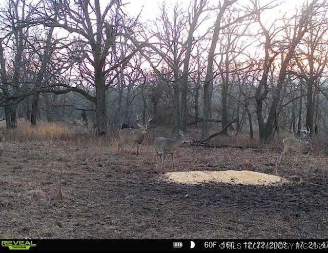 4100 N 430th Rd, Locust Grove, OK 74352 - view of undeveloped land