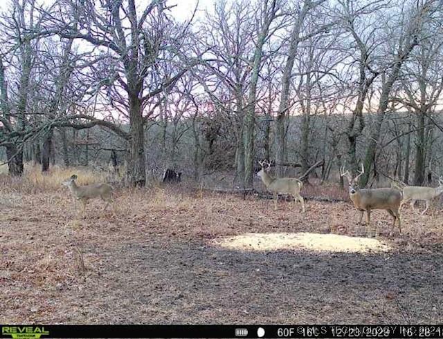 4100 N 430th Rd, Locust Grove, OK 74352 - view of yard