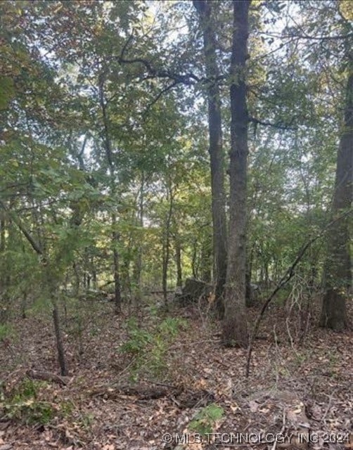 E 651 Road, Chouteau OK, 74337 land for sale