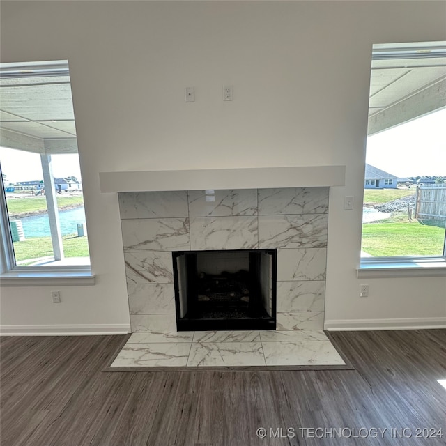 room details with a water view, wood-type flooring, and a high end fireplace