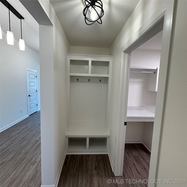 mudroom featuring dark wood-type flooring