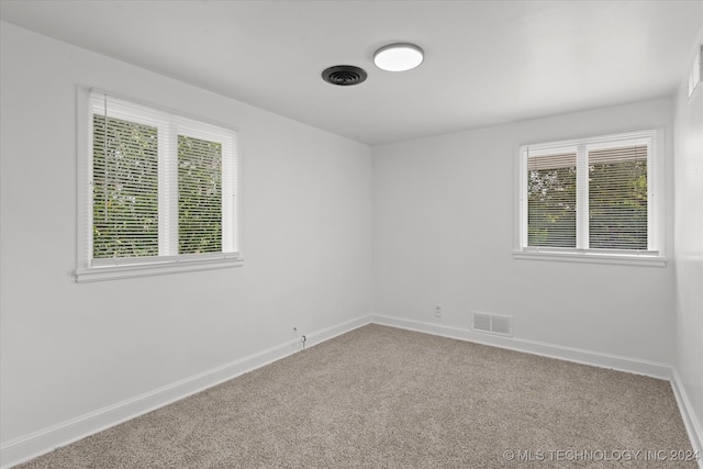 spare room with carpet flooring and plenty of natural light