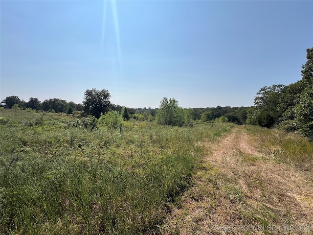 view of landscape featuring a rural view