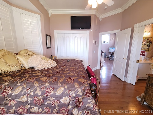 bedroom with dark wood-type flooring, a closet, ceiling fan, and crown molding