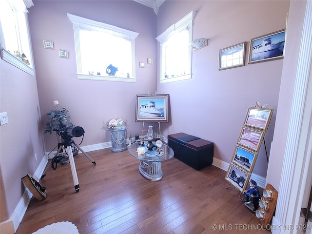 miscellaneous room with a healthy amount of sunlight and wood-type flooring