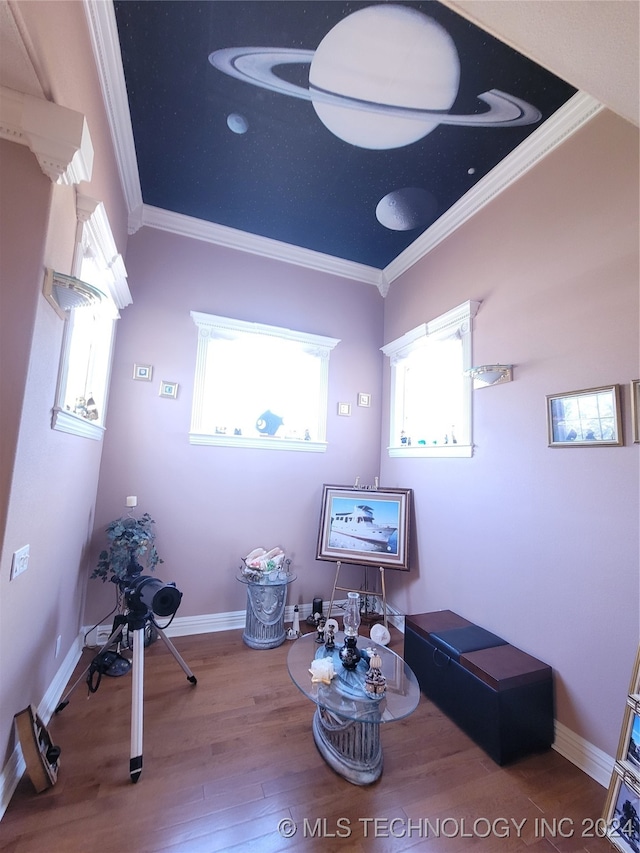 miscellaneous room featuring wood-type flooring, a wealth of natural light, and crown molding