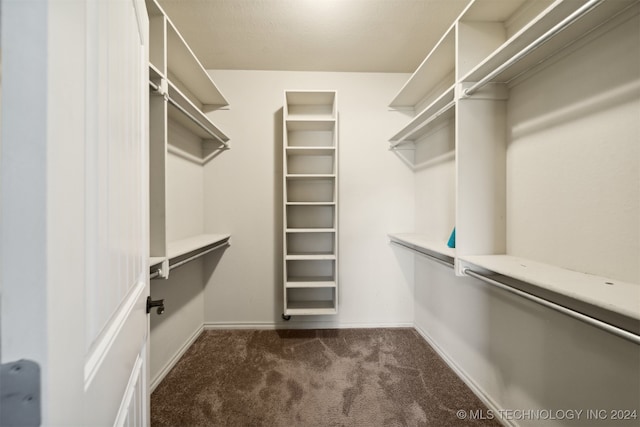 walk in closet featuring dark colored carpet