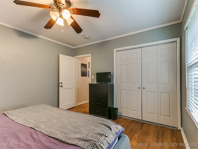 bedroom featuring multiple windows, hardwood / wood-style flooring, ceiling fan, and a closet