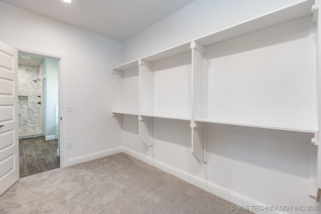 walk in closet with carpet flooring