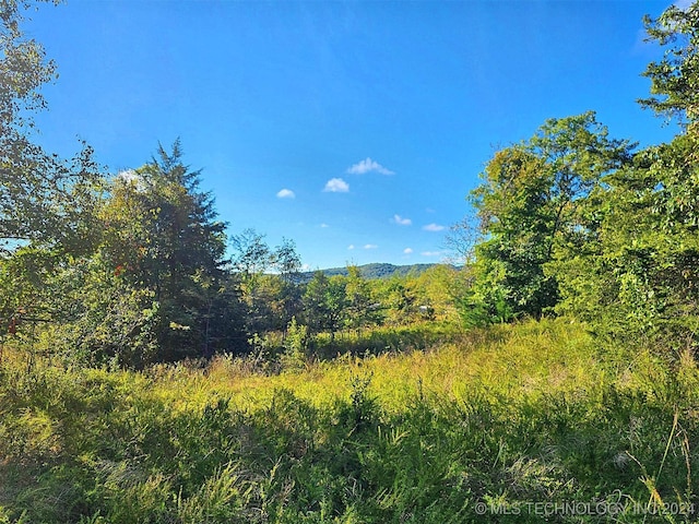 21088 E Steely Hollow Rd, Tahlequah, OK 74464