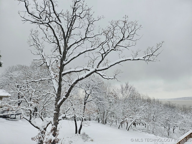 view of snowy landscape