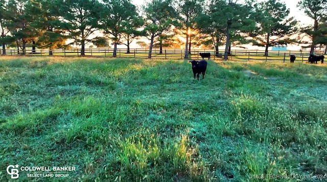 view of yard with a rural view