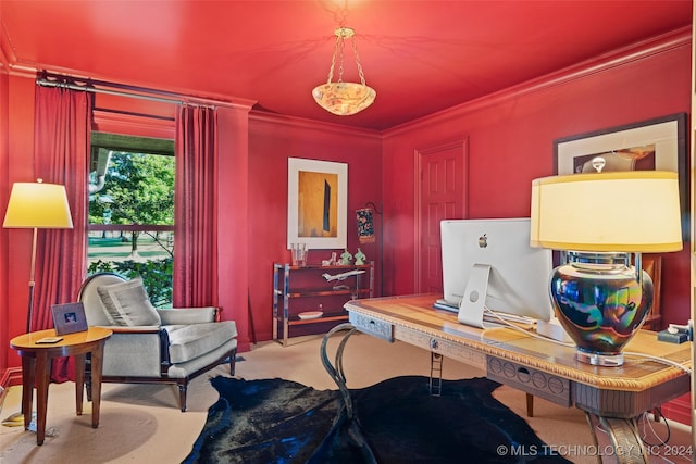 carpeted office space featuring ornamental molding