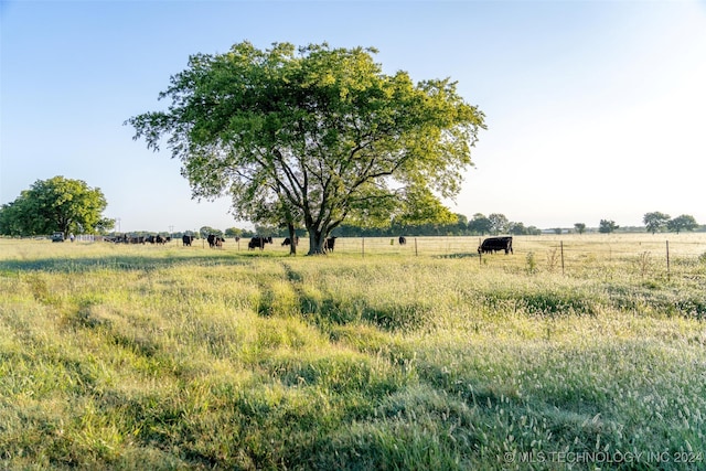 view of landscape featuring a rural view