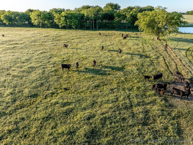 aerial view with a rural view