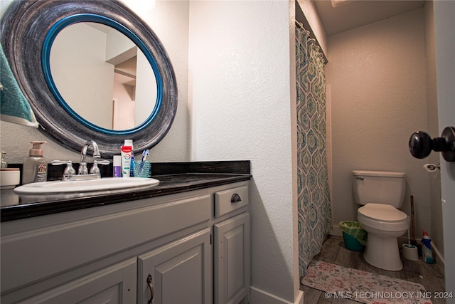 bathroom featuring toilet, vanity, and wood-type flooring